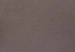 Искусственная кожа Domus (Домус) antracite