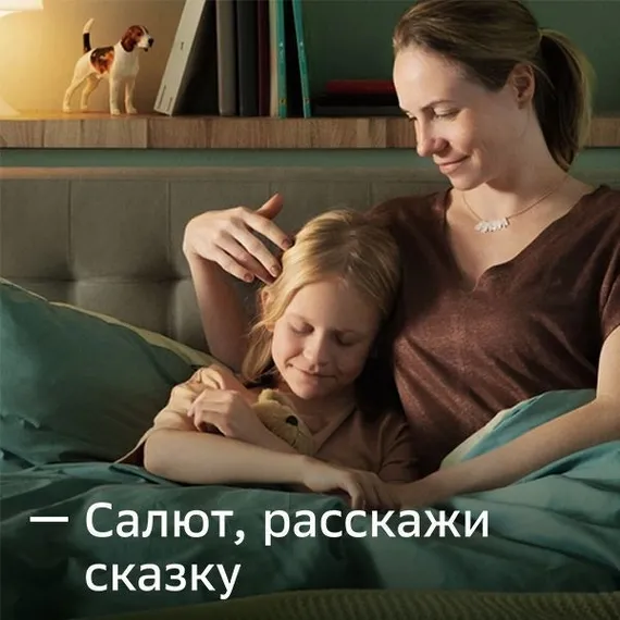 Смарт-дисплей SBER SberPortal (Черный)