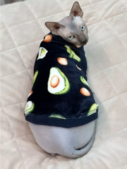 Одежда свитер для сфинксов кошек