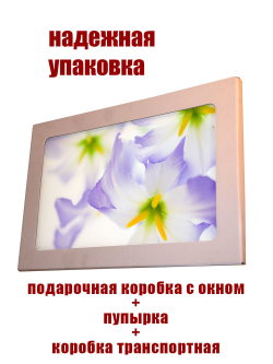 Фото картина на стекле , на стену , в подарок "Хиты цветы" 28х40 см. Декор для дома, подарок