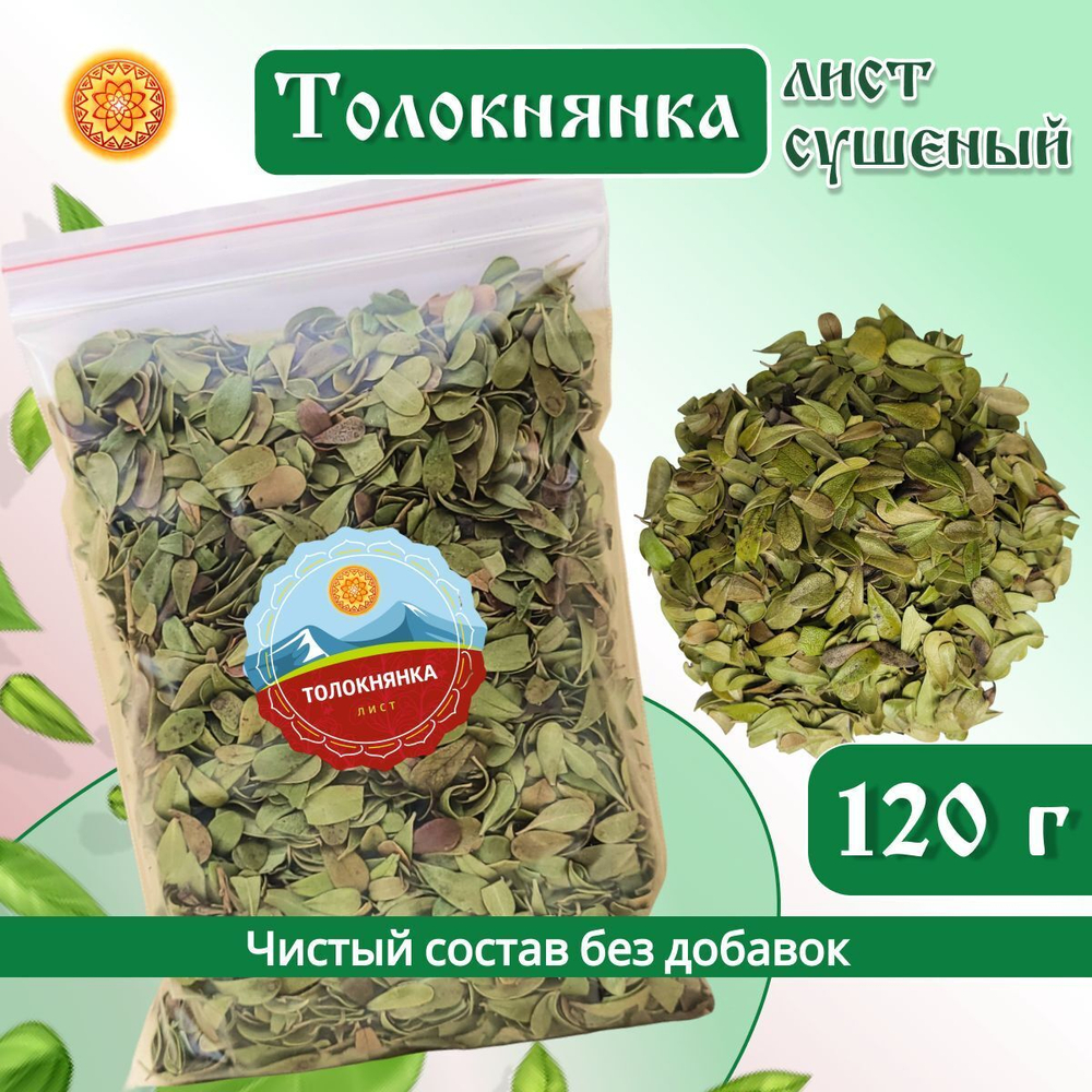 Лист толокнянки.