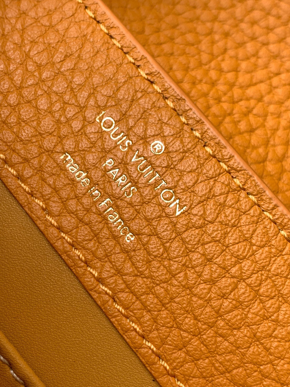 Louis Vuitton Capucines Mini