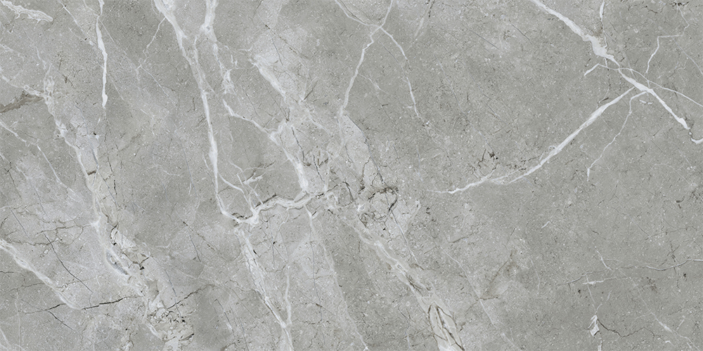 60x120 SilkMarble Бреча Серый Матовый R9