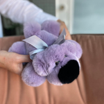 собачка шанель