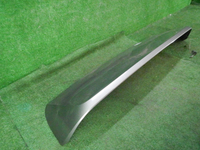 DSCN5389.JPG