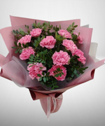 11 розовых диантусов