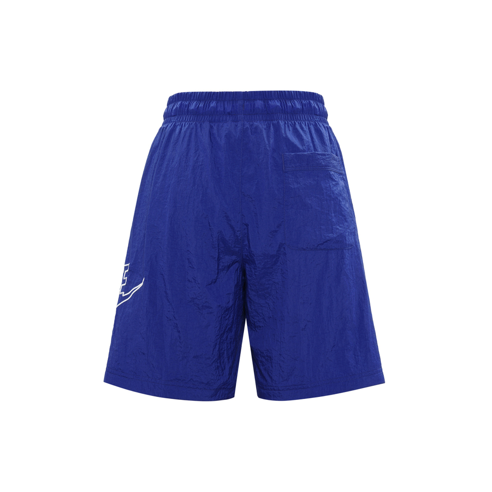 Шорты Nike Sportswear Alumni Logo, DB3811-455