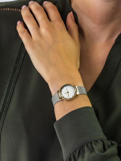 Женские часы Skagen SKW2666