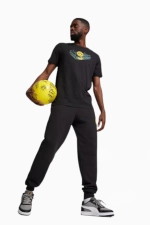 Футболка Puma Borussia Dortmund 24/25 Ftblicons - черный