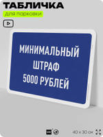 Табличка для парковки "Минимальный штраф 5000 руб", для дома, офиса, организаций, 40х30 см, Silver Plane x Айдентика Технолоджи