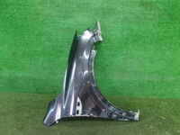 Крыло переднее правое Renault Arkana (2019-н.в.)