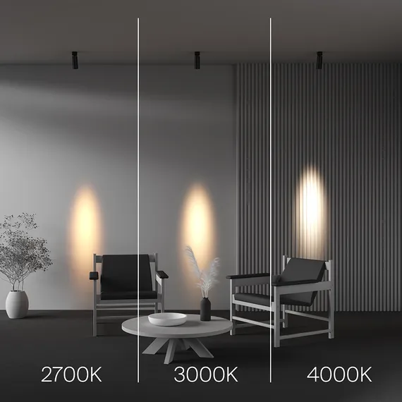 Потолочный светильник Фокус / FOCUS LED 12 Вт 4000 К 9° Technical c055cl-l12w4k-ss-b