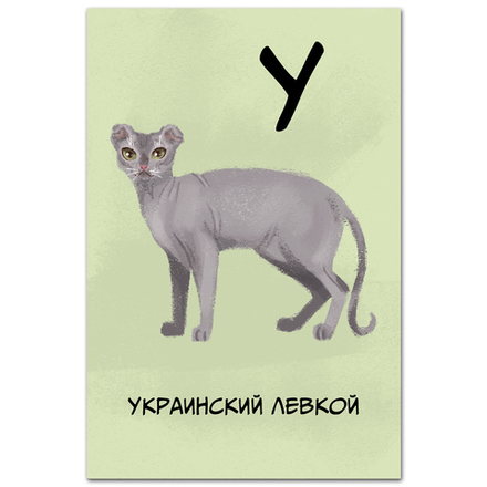 Украинский левкой