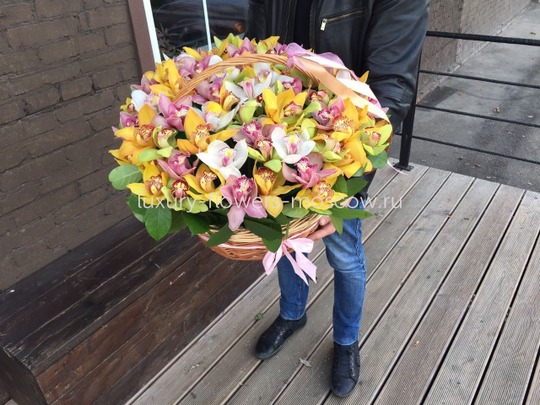 Корзина из 101 цветка орхидеи