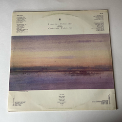 Винтажная виниловая пластинка LP Валентин Водопьянов, Александр Пиковский, Волга (Россия 1994)