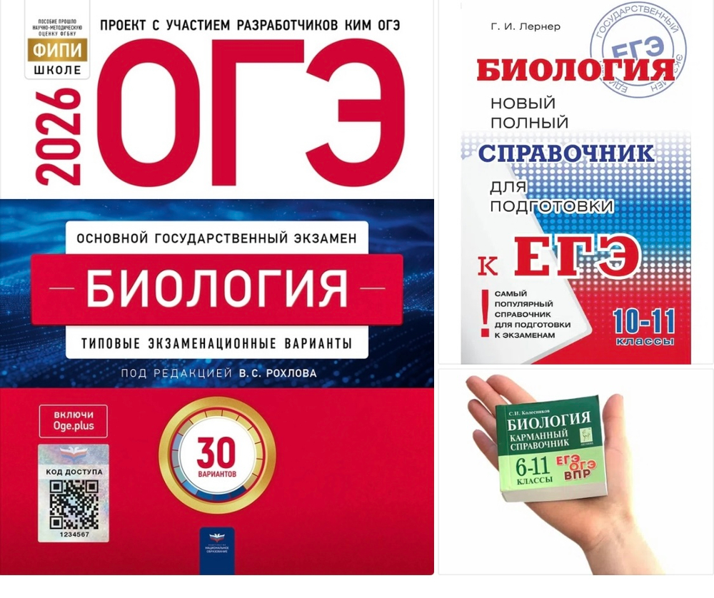 Готовый набор "Экзамен-контроль"