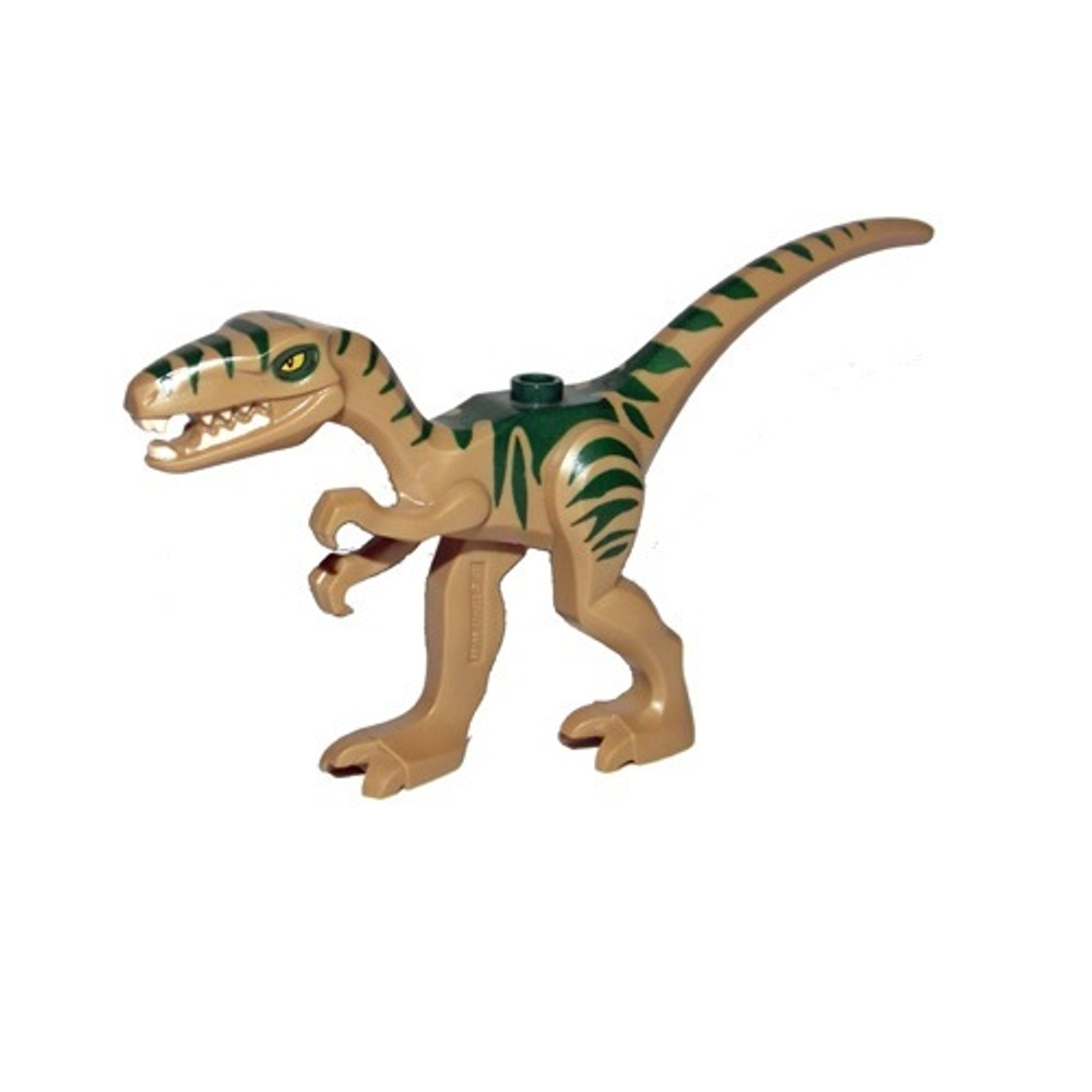 Целофизис 98166pb01