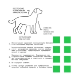 AJO (Айо) Dog Hypoallergenic Сухой полнорационный корм с гречкой для взрослых собак средних и крупных пород, склонных к аллергиям