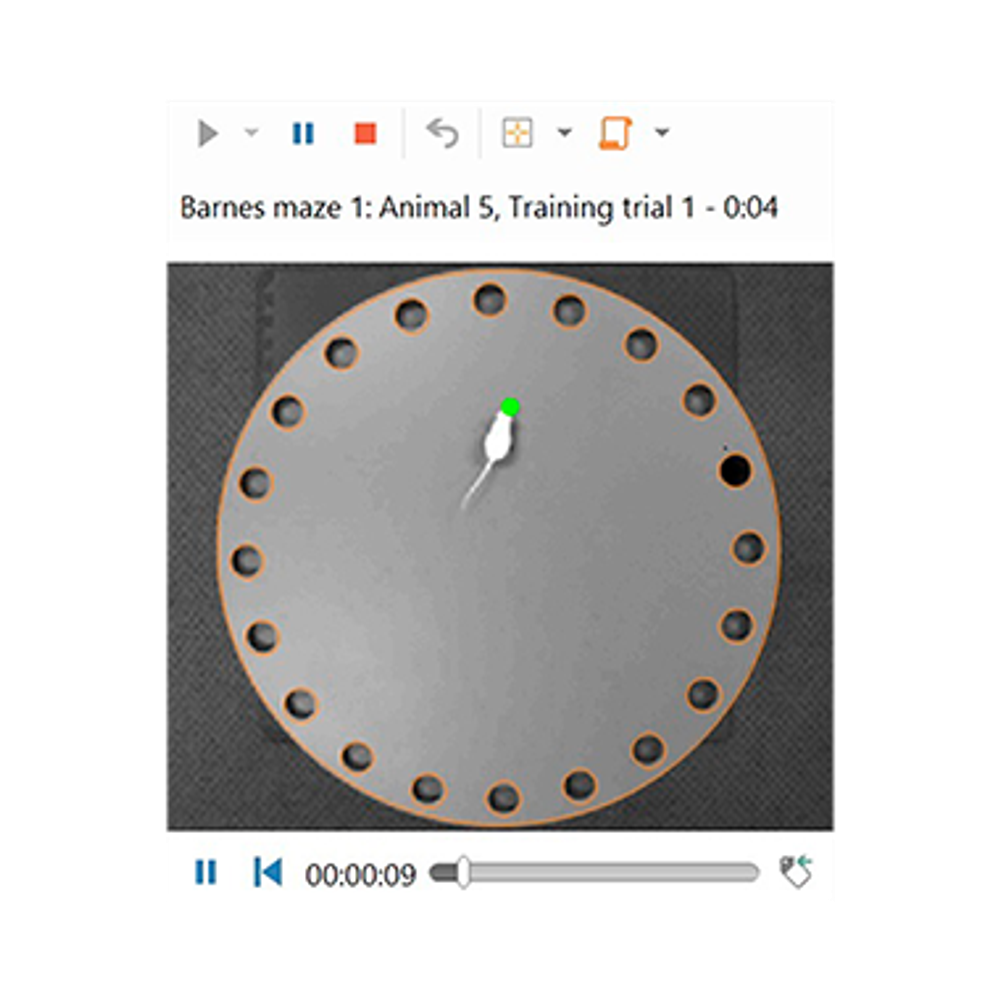 ANY-maze Усовершенствованное видеонаблюдение