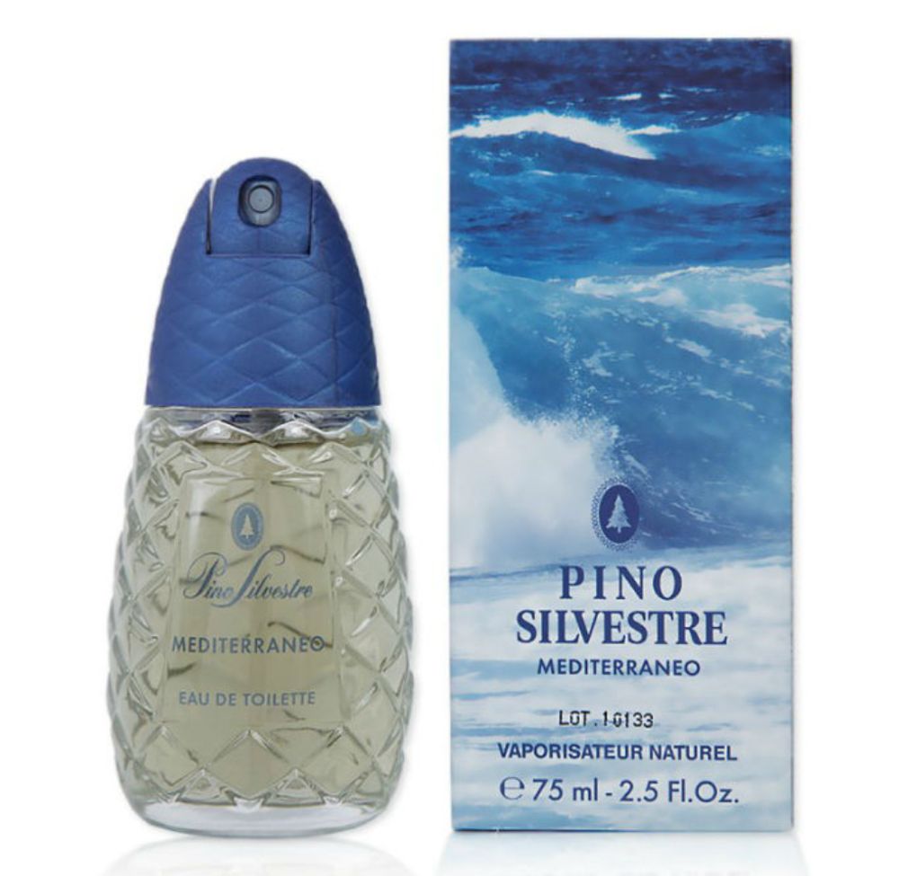 Pino Silvestre Mediterraneo