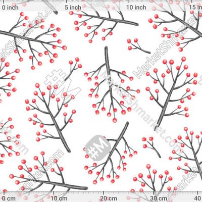 Веточки с ягодами на белом фоне by Ollynik 173 DPI