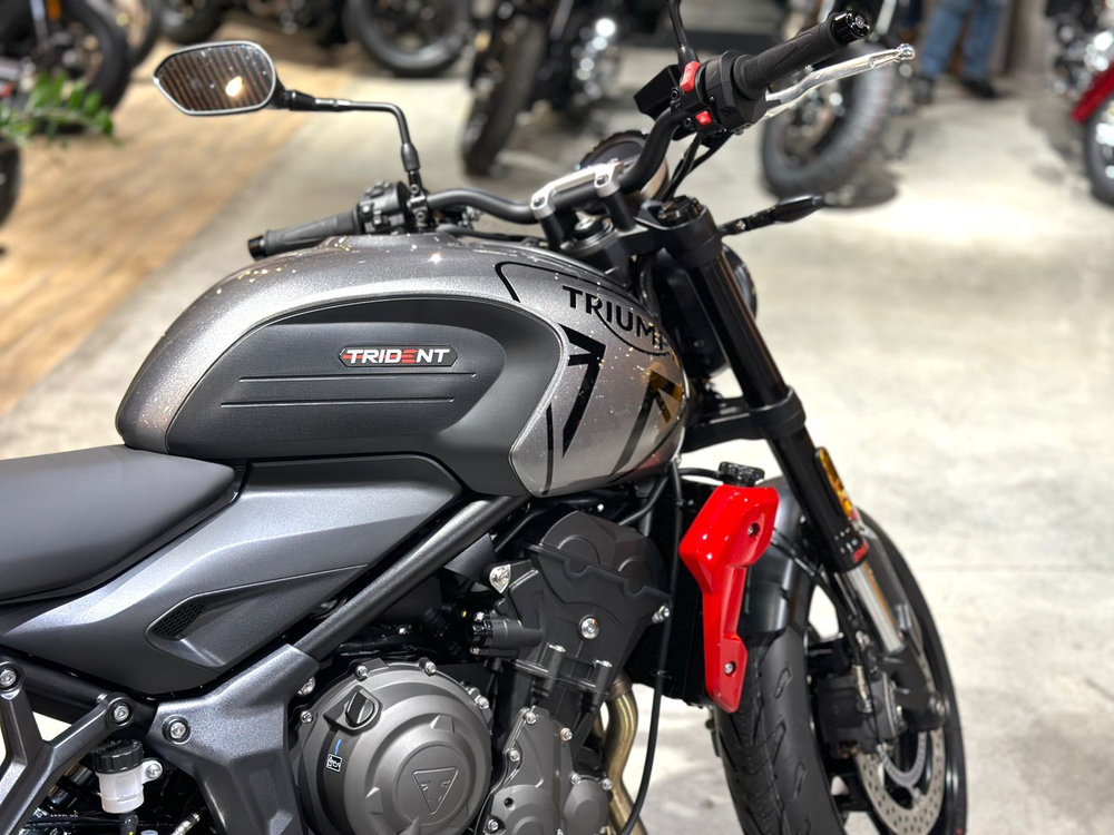Triumph Trident 660 Gray