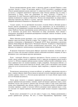 Охота на зайца | Г. Е. Рахманин