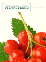 Гель для душа, интенсивное питание кожи, аромат рябины, 400