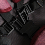 Коляска BERTA 2в1 (Alis) (Be 04 (бордовый))