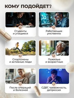 Ежовик гребенчатый мицелий капсулы