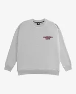 Толстовка Hardlunch Taste Control меланж серая