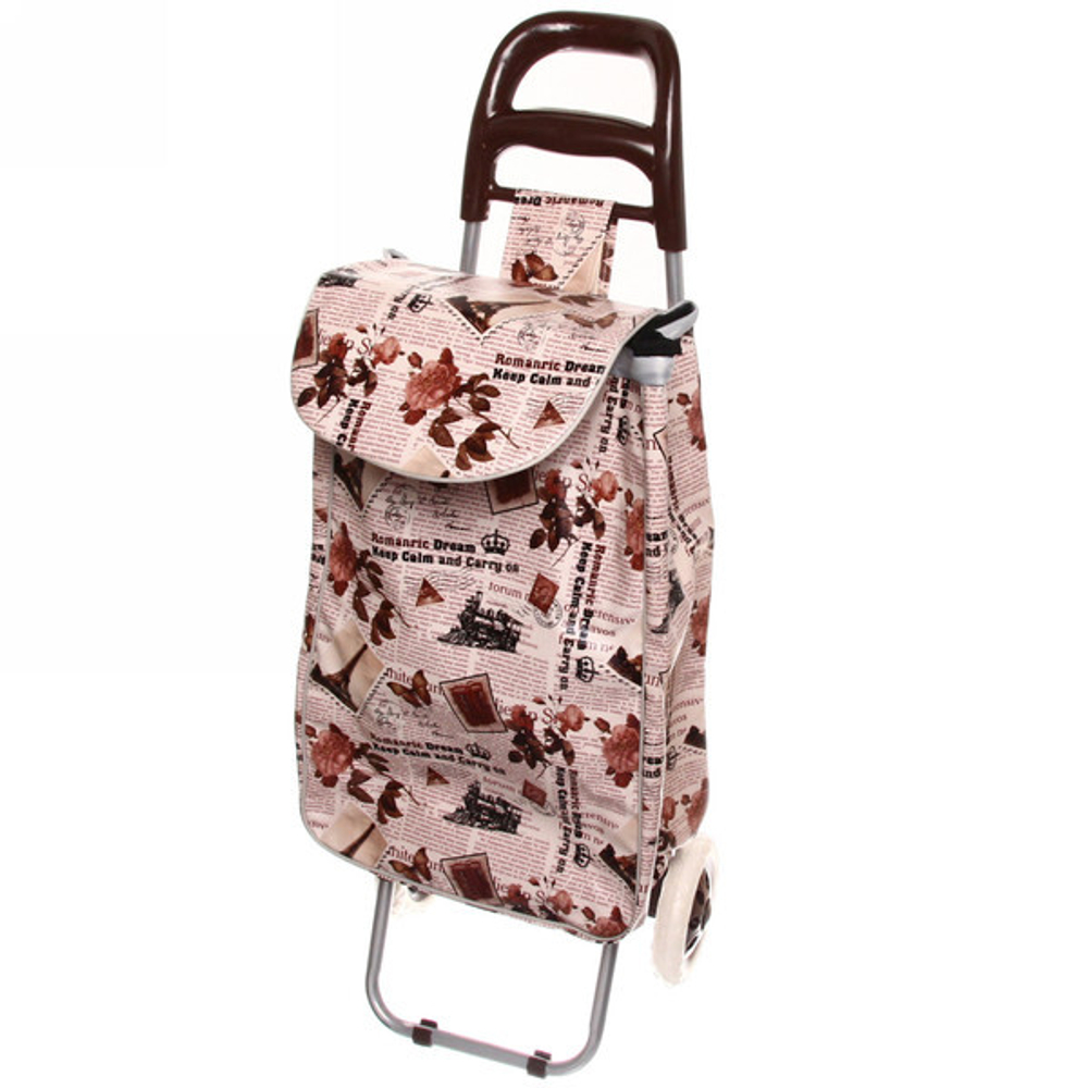 Тележка хозяйственная с сумкой (95*30*33см, колеса 16см,грузоподъемность до 30 кг) газета DC-307EZ