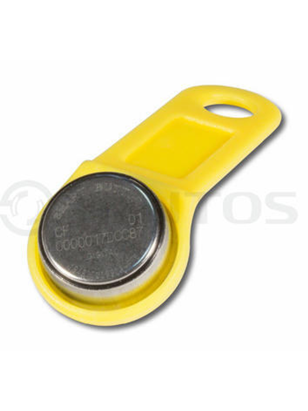 TM1990A iButton TS