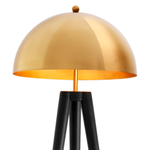 Торшер Floor Lamp Coyote арт.112629