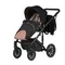Коляска ANEX m/type PRO 3 в 1 (EP-SE01) anex x Safa Sahin