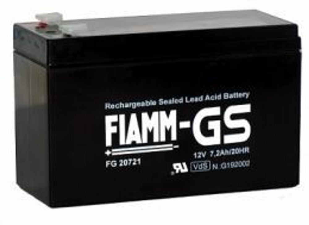 Аккумулятор FIAMM FG24204