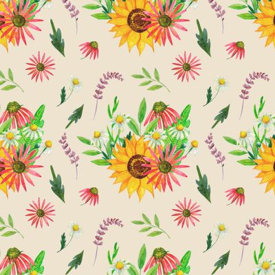 Эхинацея и подсолнухи