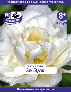 Тюльпан Луковица, Зе Эдж, 8+ шт
