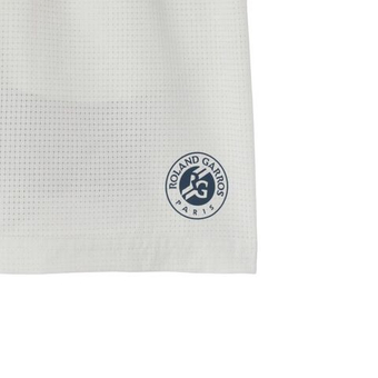 Мужские теннисные шорты Lacoste Roland Garros Edition Sport - серый