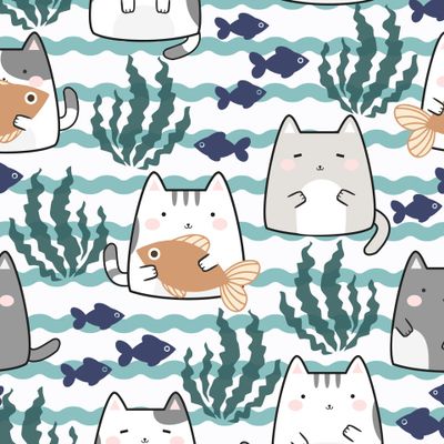 котики