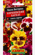 Виола Королевский бархат, смесь сортов СМЦ-47