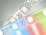 GS2302 5050 60Led/ 14.4W m/ 12V IP65 RGB/ 5000*10*2.87mm (4 конт.)