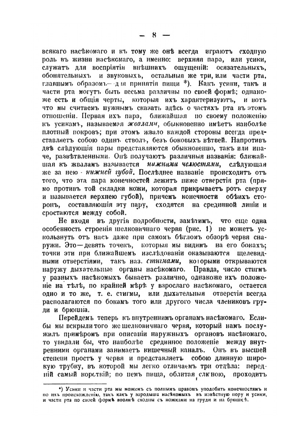 Естественная история пчелы | А. Тихомиров