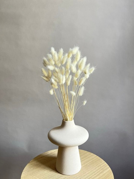 Лагурус выбеленный