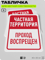 Табличка для частной территории "Частная территория, проход воспрещен", на дом, для участка, организаций, предупреждающая, 40х30 см, Silver Plane x Айдентика Технолоджи