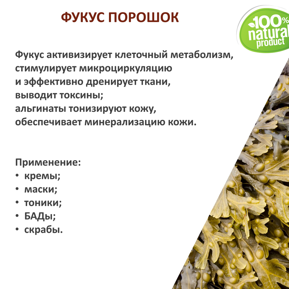 Фукус, порошок / Fucus vesiculosus Powder