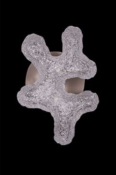 Бра LED 8W 3000К/4000К/5500К LE7724/1W Grey серый Recif Leon