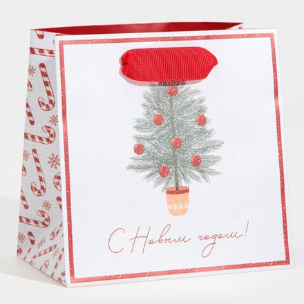 Пакет подарочный «Новогодние сладости», 14х14х9 см