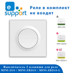 Выключатель для реле SONOFF E2GS (MINI-ZB/2GS DUO)