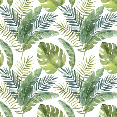 Тропики, гавайское утро